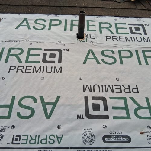 WhatsApp Image 2026-03-11 at 4.39.44 PM