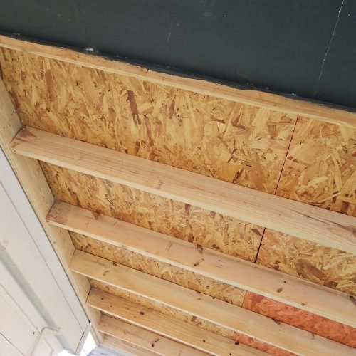 WhatsApp Image 2026-03-11 at 4.39.58 PM (1)