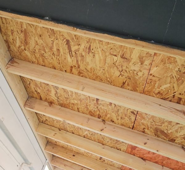 WhatsApp Image 2026-03-11 at 4.39.58 PM (1)