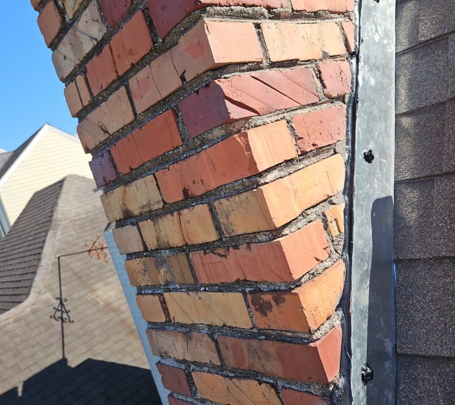 WhatsApp Image 2026-03-11 at 4.40.02 PM