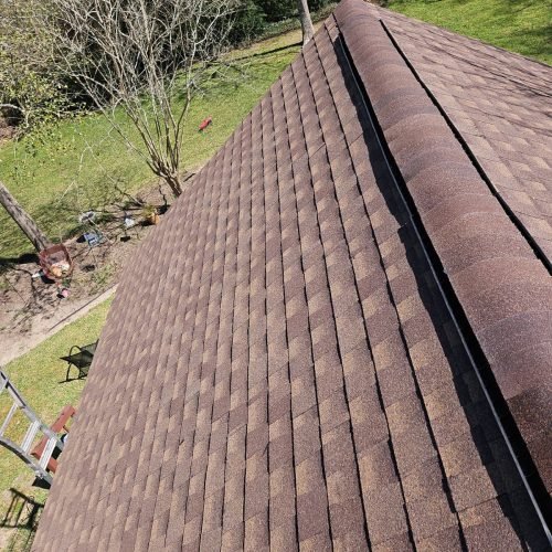 WhatsApp Image 2026-03-11 at 4.40.05 PM